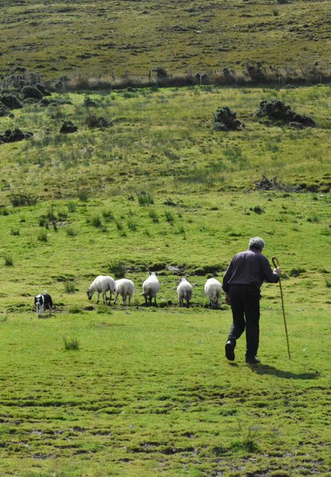 Emerald Isle Ireland, Farm Images, Butterfly Mirror, Irish Country, Oliver Wood, Irish Eyes Are Smiling, Photos Travel, Irish Cottage, Shepherds Hut