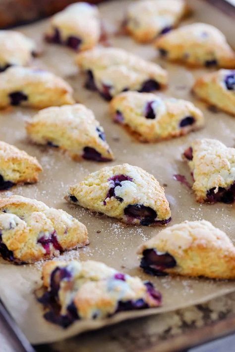 Mini Blueberry Scones with fresh blueberries are fluffy and biscuit-like, this batch makes about three dozen, so it's great for a crowd or to freeze for quick treats to serve with coffee or tea on a whim! Scones For A Crowd, Mini Blueberry Scones, Mini Scones Recipe Easy, Freezing Scones, How To Make Blueberry Scones, Mini Scones Recipe, Blue Berries Recipes, Best Blueberry Scones Recipe Ever, Homemade Blueberry Scones Easy