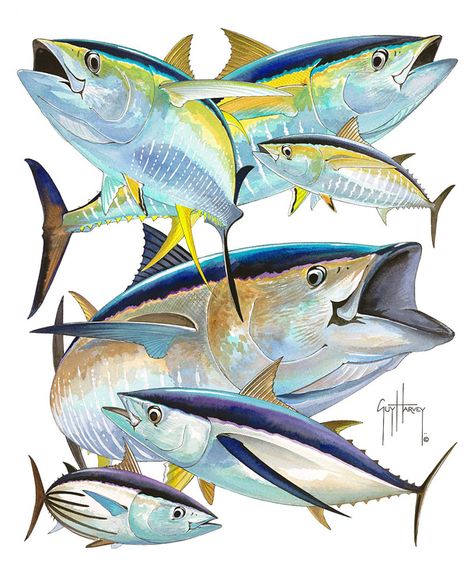 yellowfin tuna Guy Harvey Art, Marine Life Art, Ocean Drawing, Chinese Folk Art, Bluefin Tuna, Tuna Fishing, Yellowfin Tuna, Fish Artwork, Sea Life Art