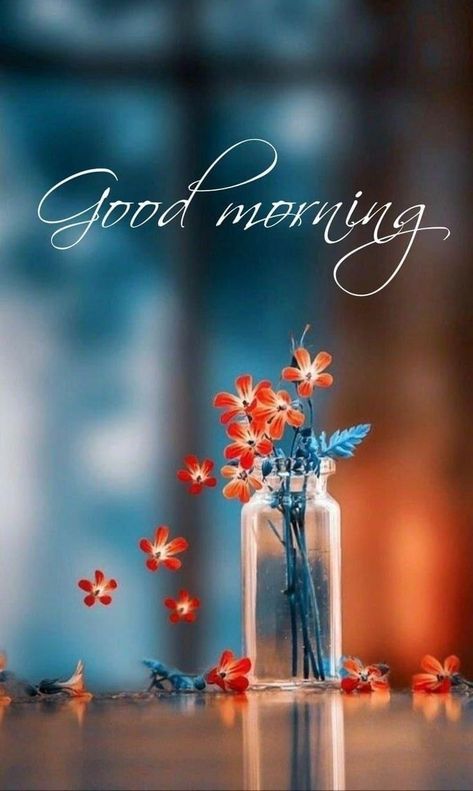 Friend Background, Good Morning Spring, Good Morning Friend, Wallpaper Good Morning, Beautiful Morning Pictures, Morning Friend, Good Morning Gift, Good Morning Posters, Cute Good Morning Images