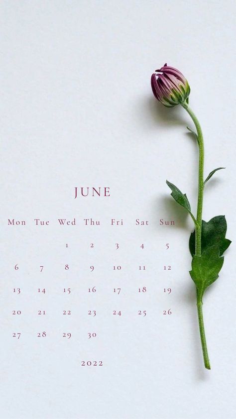 June 2022 20 June, Calendar 2022, June 2022, Birthday Month, Wallpapers, Collage, Birthday, Pins, Quick Saves