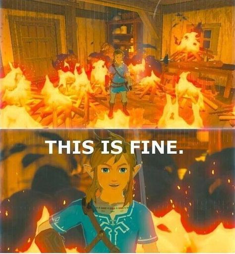 Botw Zelda, Zelda Funny, Legend Of Zelda Botw, Legend Of Zelda Memes, Link And Zelda, Zelda Botw, Legends Of Zelda, Video Game Memes, Link Zelda