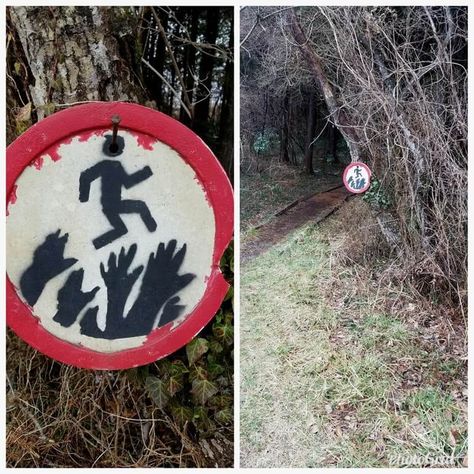 This Doesn’t Look Promising Images Terrifiantes, Starship Enterprise, Lightning Strikes, Walk In The Woods, Road Signs, Funny Signs, A Sign, Sign I, In The Woods