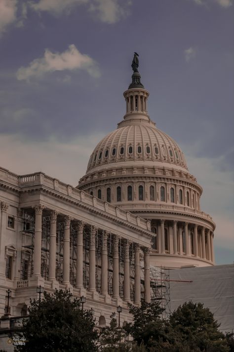 Congressman Aesthetic, Senate Aesthetic, Politicians Aesthetic, Politican Aesthetic, George Washington University Aesthetic, Senator Aesthetic, Government Aesthetic, Scandal Aesthetic, Politician Aesthetic