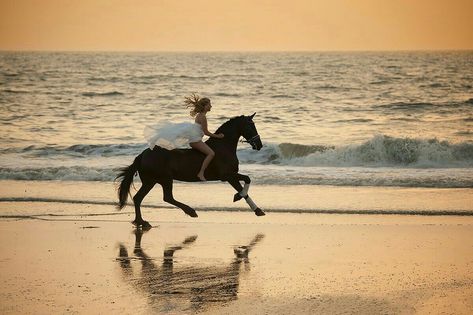 Enlightened Woman, Horse Photoshoot Ideas, Woman Riding Horse, Horse Photography Poses, Friesian Stallion, Horse Riding Aesthetic, Foto Cowgirl, Horse Galloping, Equestrian Life