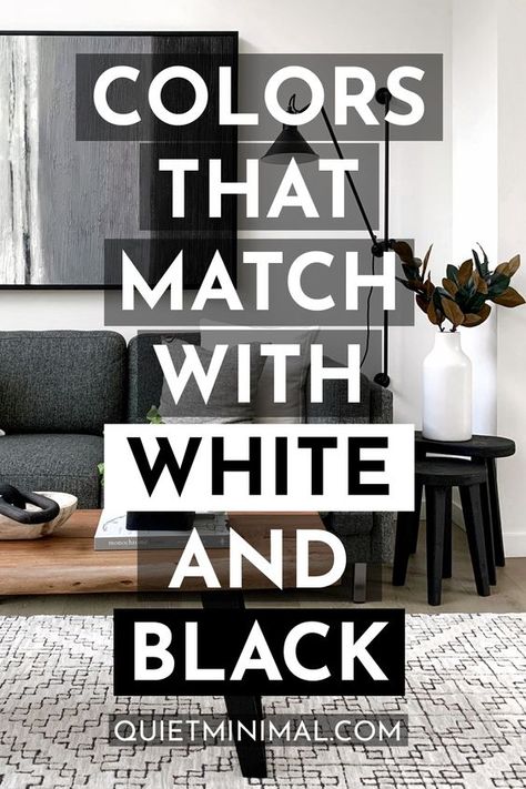 Grey White Interior Design, White Room Grey Accent Wall, Black And White Room With Accent Color, Black And White Bathroom Accents, White Walls Black Trim Living Room Decor, White Living Room Black Furniture, Furniture For White Walls, White And Grey Interior House, Black Grey And White Interior