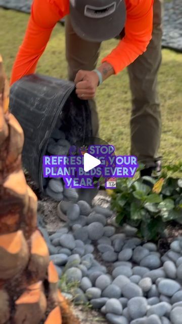 Coastal Creations Landscaping & Palm Service on Instagram: "🛑🛑STOP WASTING YOUR TIME REFRESHING YOUR FLOWER BEDS, YEAR AFTER YEAR 🛑🛑 🌊🌴 Upgrade your flower beds with Mexican beach pebbles from Coastal Creations! 

🌺 Say goodbye to high maintenance mulch and straw - these pebbles last for years, and require less upkeep. 

💪 Plus, rain can still reach your plants with rocks surrounding them! 

🌧️ Did you know that using rocks in your flower bed can help regulate soil temperature and prevent erosion? 🌿

👨‍💻    Email: joe.calo@coastalcreationslps.com

📲    Phone: 850.348.1692

💻    Visit: coastalcreationslps.com

🎬    TikTok:coastalcreationslps

📷     Fb/Insta: coastalcreationslandscaping

#coastalcreationslandscaping #MexicanBeachPebble #LowMaintenanceGardening" Pebble Landscaping, Coastal Creations, Mexican Beach Pebbles, Gardening Indoors, Mexican Beach, Rock Bed, Starting Seeds, Mexican Beaches, Beach Pebbles