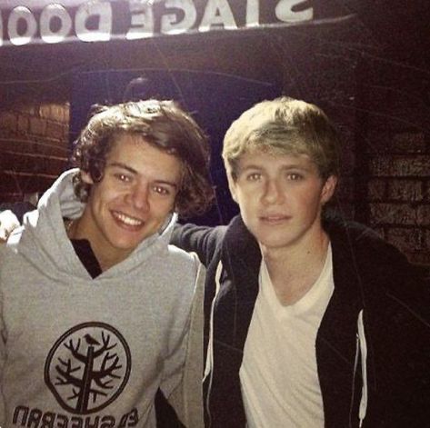 Niall And Harry, Harry 1d, One Direction Harry Styles, One Direction Photos, Irish Princess, Frat Boy, One Direction Harry, Harry Styles Pictures, Harry Styles Photos