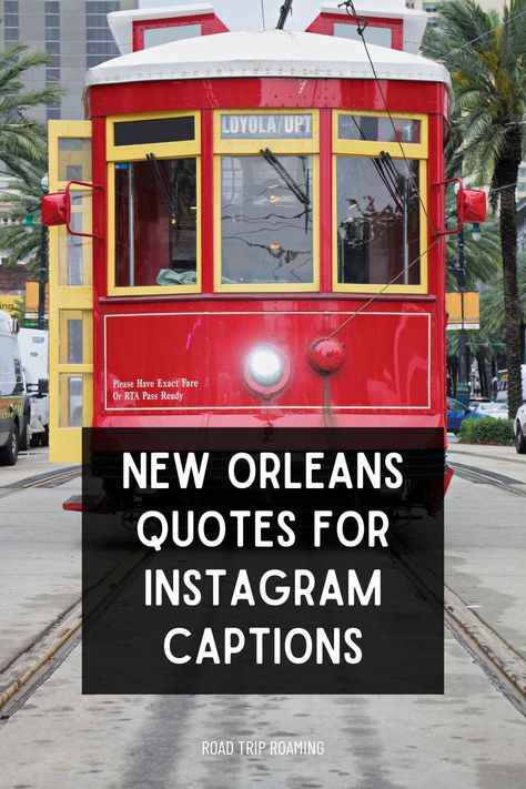 Discover the charm, history, and culinary delights of New Orleans in this collection of favorite quotes. Explore the vibrant neighborhoods, music scene, and unique vibe that make the "Big Easy" a cultural gem. Get ready to capture the spirit of NOLA with these captivating Instagram captions! New Orleans Quotes Nola, Camping Hiking Outfit, Midwest Hiking, New Orleans Quotes, Quotes For Instagram Captions, Best Cameras For Travel, Catchy Captions, Best Hiking Gear, Ultimate Summer Bucket List