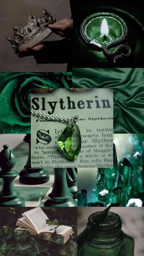 Salazar Slytherin Aesthetic, Slytherin Core, Slytherin Princess, Harry Potter Lumos, Salazar Slytherin, Slytherin Wallpaper, Drako Malfoy, Slytherin Fashion, Harry Potter Hogwarts Houses