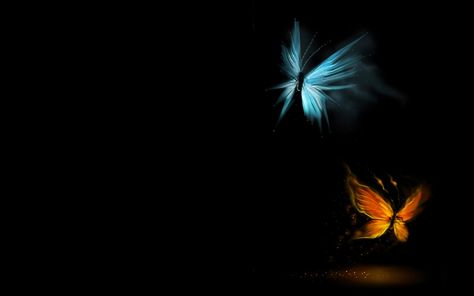 blue yellow butterfly gold 1600x1200  Animals Butterflies HD Art  #Blue #Yellow #720P #wallpaper #hdwallpaper #desktop Butterfly Hd Wallpapers, Common Blue Butterfly, Wallpapers Laptop, Wallpaper Website, Blue Fireworks, Blue Butterfly Wallpaper, Abstract Butterfly, Butterfly Background, Butterfly Photos