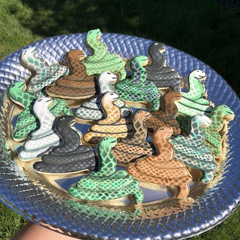 Snake Cookies, Alligator Birthday Parties, Townhouse Decor, Alligator Birthday, Snake Birthday, Snake Party, Food Magic, Reptile Party, 10th Birthday Parties