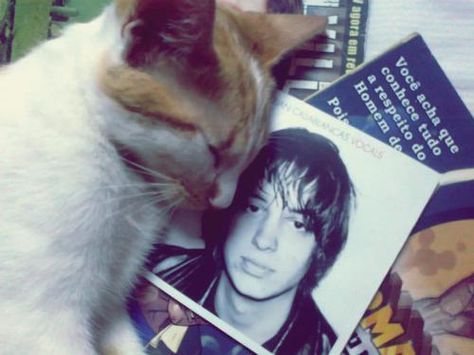 Cat & Julian The Voidz, Rock Argentino, Juju On That Beat, Julian Casablancas, The Strokes, Sing To Me, Cats Love, Radiohead, Arctic Monkeys