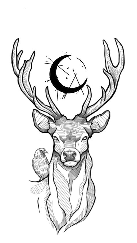 Native Deer Tattoo, Deer Moon Tattoo, Deer Tattoo Sketch, Deer Tattoo Stencil, Deer Head Sketch, Deer Sketch Tattoo, Simple Elk Drawing, Stag Drawing Sketches, Deer Tattoo Designs For Men