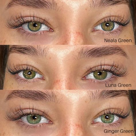 Today's vibe colour: GREEN.🟢 3 different styles of green lenses, which one would you choose? Click the link below to find more green lenses. 🤗 ⁠---- #just4kira #Just4kriacoloredcontactlens #naturallenses #greenlens #lensteyonhual #greencontactlens Olive Green Contact Lenses, Epicanthal Fold, Green Lenses Eye, Green Eye Contacts, Korean Contact Lenses, Epicanthic Fold, Green Contact Lenses, Girls With Dimples, Brown Contact Lenses