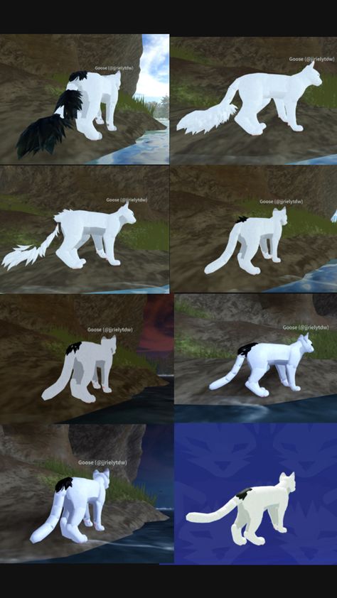 Cat Morph Ideas, Warrior Cat Morph Ideas, Wcue Morph, Warrior Cats Fan Art, Warrior Cat Oc, Cat Oc, Lion Pride, Warrior Cats Art, Warrior Cat