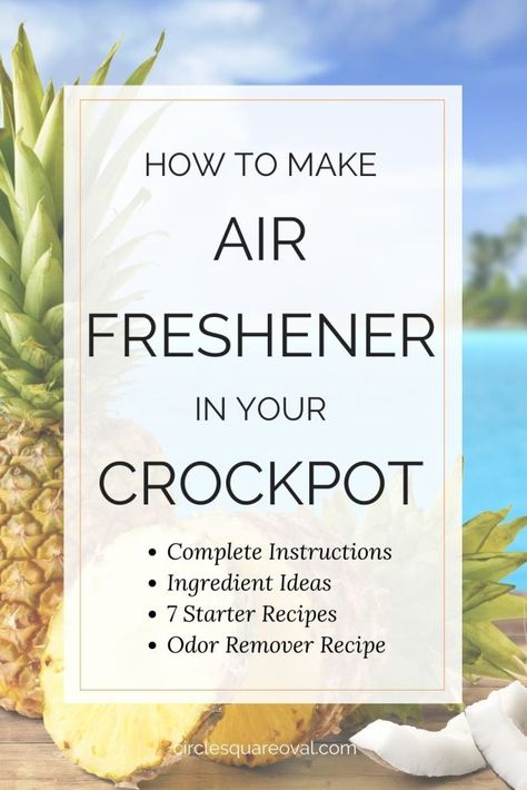 Fresh House Smell, Smell Fresh And Clean, Clean House Smell, Air Freshener Recipes, Crockpot Slow Cooker, Coconut Essential Oil, Homemade Air Freshener, Face Pores, House Smell Good