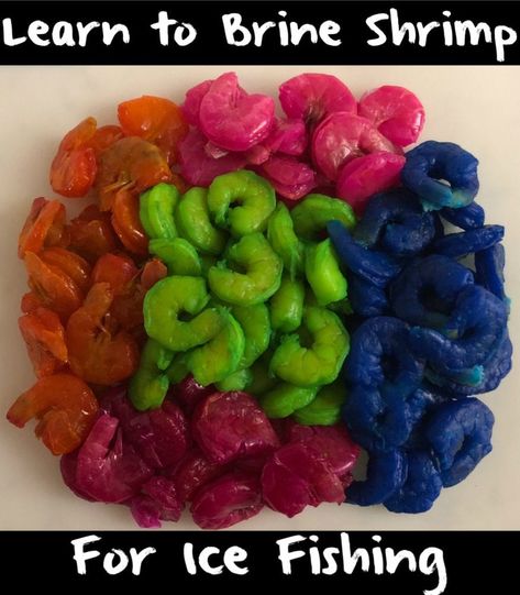 Ice Fishing Humor, Ice Fishing Walleye, Ice Fishing Diy, Walleye Fishing Tips, Ice Fishing House, Ice Fishing Tips, Ice Fishing Jigs, Ice Fishing Gear, Ice Fishing Lures