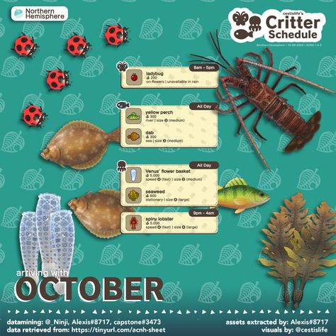 Acnh October, Animal Crossing Fish, Acnh Guide, Acnh Inspiration, Animal Crossing Guide, Fake Animals, Acnh Ideas, Acnh Inspo, New Animal Crossing