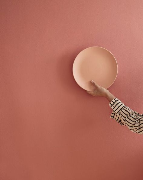 Gallery Terracotta Paint, Brick Wall Tiles, Wet Room Flooring, Peach Paint, Peach Walls, Glazed Brick, Gorgeous Tile, Painted Terra Cotta Pots, Deco Rose