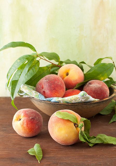 { fresh peaches } Peaches Photography, Bowl Of Peaches, Peach Crostata, 숲 사진, Still Life Pictures, Fruits Photos, Fruit Picture, Peach Art, Fresh Peaches