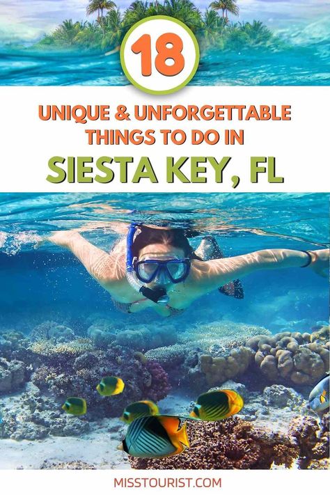 If you're looking for things to do in Siesta Key, look no further! This list has something for everyone, from nature lovers to beach bums! Siesta Key Village, Siesta Beach, Siesta Key Florida, Florida Adventures, Siesta Key Beach, Travel Bucket List Usa, Kayak Adventures, Turtle Beach, Siesta Key