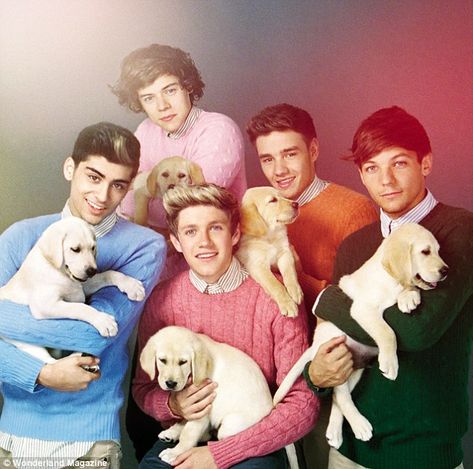 They call it puppy love: One Direction pose for a tongue-in-cheek 1970s-style shoot for Wonderland magazine as they each carry a labrador Wassabi Productions, Wallpaper One Direction, One Direction Songs, Wonderland Magazine, One Direction Louis, One Direction Wallpaper, One Direction Photos, Cool Magazine, Life Video