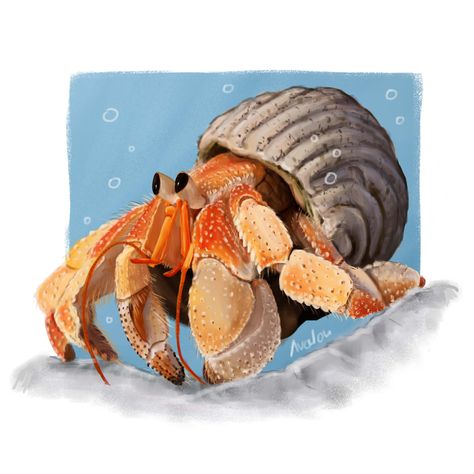 Hermit Crab Painting, Hermit Crab Drawing, Hermit Crab Art, Crab Character, Crab Cartoon, Lobster Art, Crab Art, Stippling Art, Animal Illustration Art