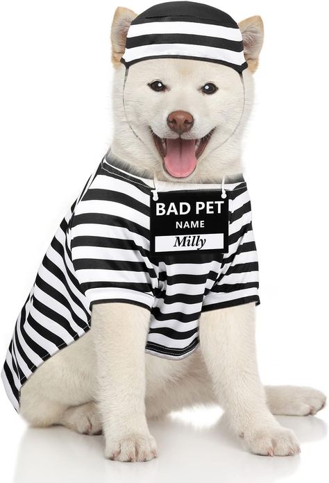 🎃 Get ready for some tail-wagging fun this Halloween with this Prison/Bad Dog inspired Dog Costume! This costume will make your really cute puppies that much cuter 😍 Prisoner Costume, Dog Costumes Funny, Dog Halloween Costume, Really Cute Puppies, Pet Halloween Costumes, Animal Costumes, Halloween Dog, Dog Halloween Costumes, Bad Dog