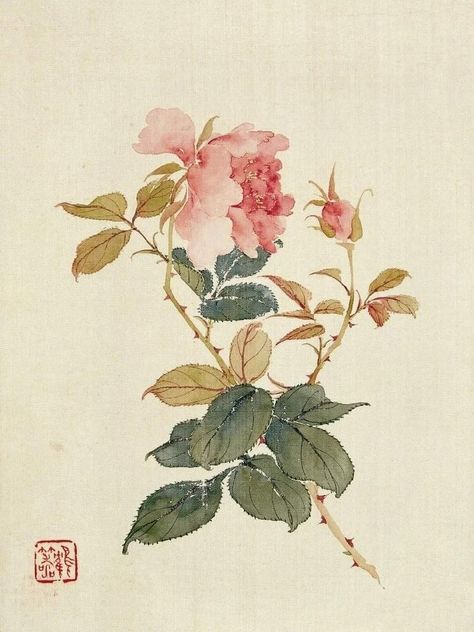 Flower Room, Asian Painting, Watercolor Landscape Paintings, Botanical Painting, Botanical Drawings, Chinese Painting, Vintage Botanical, Vintage Painting, Watercolor Landscape