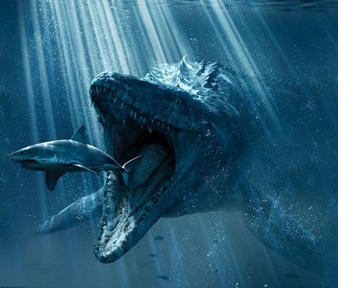 Mosasaurus - Jurassic World Jurassic World Poster, Jurassic World Wallpaper, New Jurassic World, Jurassic World 2015, Largest Dinosaur, Sea Dragon, Jurassic Park World, Large Poster, Exotic Pets