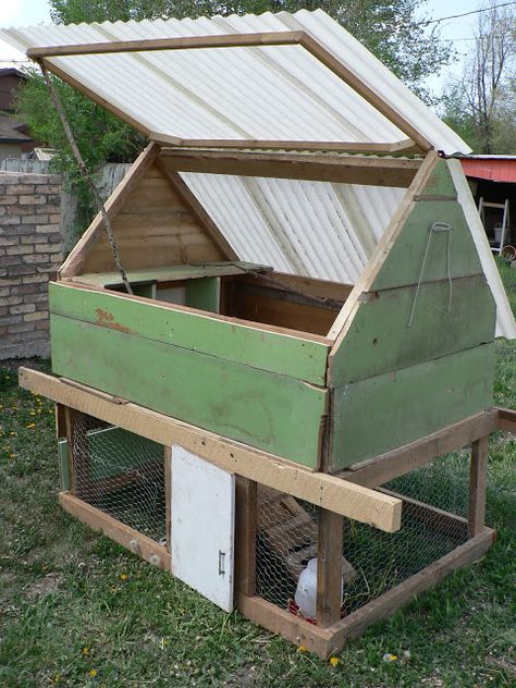 DIY Chicken Coop - I bet you didn’t see this coming! The hinges on the roof give  easy access to the top to clean it out and to change their food and water. #diychickencoop #chickencoopplans #portablechickencoop #blessthismessplease Easy Diy Chicken Coop, Chicken Coop Kit, Easy Chicken Coop, Chicken Barn, Portable Chicken Coop, Backyard Chicken Coop Plans, Chicken Coup, Diy Chicken Coop Plans, Chicken Tractor