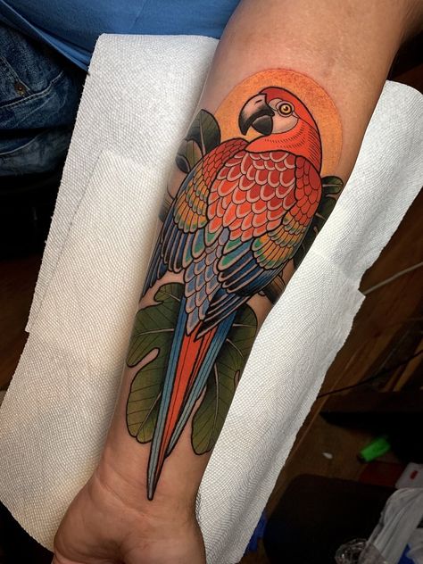 DAVE WAH - Tattoo Artist - Baltimore Maryland Parrot Traditional Tattoo, Macaw Tattoo, Stay Humble Tattoo, Humble Tattoo, Parrot Tattoo, Scarlet Macaw, Tattoo Videos, Baltimore Maryland, American Traditional