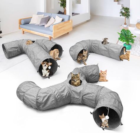 Ms.Dou Large Cat Tunnel, J Cat Play Tunnel for Indoor Cats,Large Cat Tunnel Toy with Cat Teaser & Spring, Collapsible Tunnel Tube, 11.81 inches Diameter, Grey : Amazon.ca: Pet Supplies Feral Kittens, Play Tunnel, Animal Supplies, Kitten Toys, Small Animal Supplies, Indoor Cats, Cat Tunnel, Catnip Toys, Large Cats