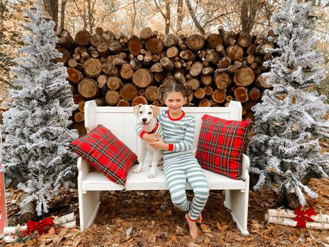 Indoor Christmas Photos, Poses Christmas, Christmas Couple Photos, White Bench, Mini Ideas, Photo Sets, Family Poses, Indoor Christmas, Holiday Pictures