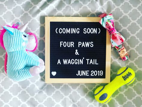 New Puppy Announcement Photo Shoot, Dog Pregnancy Announcement Puppies, Getting A Puppy Announcement, Puppy Announcement Ideas, Dog Adoption Announcement, Dog Announcement, Pet Announcement, Puppy Announcement, Puppy Baby Shower