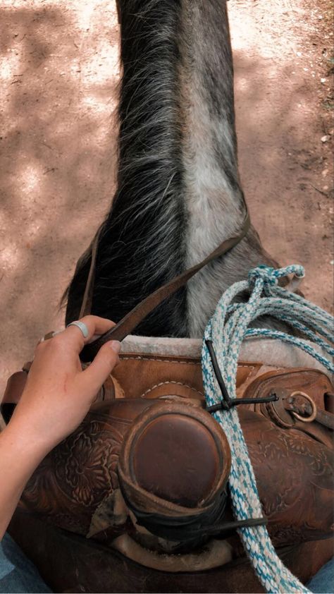 Horse Trail Ride Aesthetic, Western Trail Riding, Trail Ride Aesthetic, Trail Riding Aesthetic, Western Riding Aesthetic, Riding Horse Aesthetic, Horseback Riding Aesthetic, Western Horse Riding, Trail Riding Horses