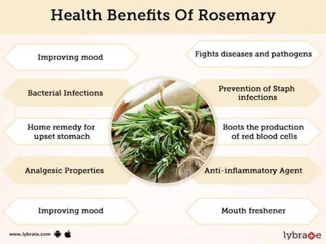 Rosemary Tea Benefits, Rosemary Benefits, Benefits Of Rosemary, Mouth Freshener, Rosemary Herb, Rosemary Tea, Dried Rosemary, Food Supplies, Fresh Groceries