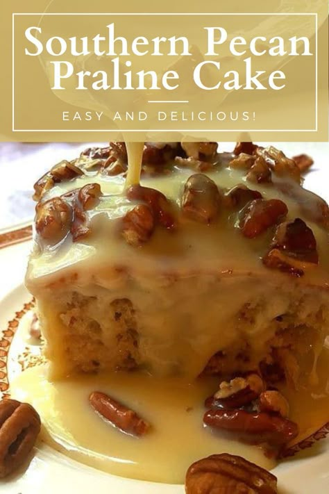 Southern Pecan Praline Cake Recipe, Pecan Pralines Cake Recipe, Praline And Cream Cake, Pralines Cake Recipe, Parlin Pecan Cake, Southern Pecan Cake, Pralines And Cream Cake, Southern Pecan Carmel Cake, Cakes With Pecans