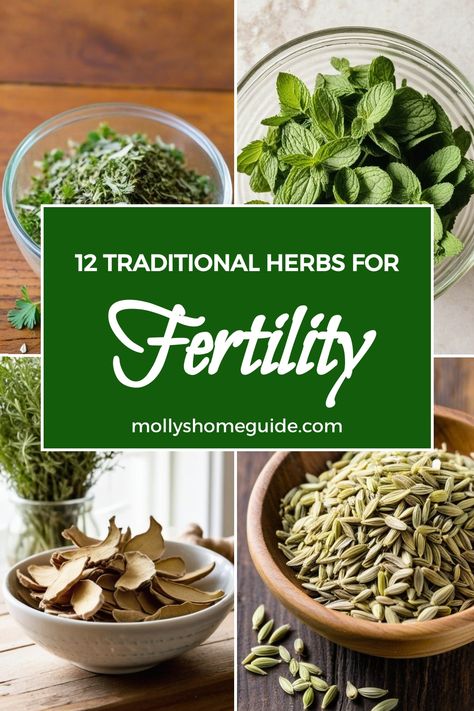 Explore the power of nature with these top herbs for fertility. Whether you're looking to boost your chances of conceiving or seeking natural remedies for fertility issues, these herbal allies are here to support you on your journey. From Ayurvedic herbs to traditional medicinal plants, discover a range of options such as red clover, maca root, and vitex. Incorporate herbal teas into your daily routine to enhance your overall wellness and hormone balance. Chinese Herbs For Fertility, Red Clover Benefits, Patio Sanctuary, Fertility Herbs, Herbs For Fertility, Boost Fertility Naturally, Fertility Tea, Boost Fertility, Balancing Hormones