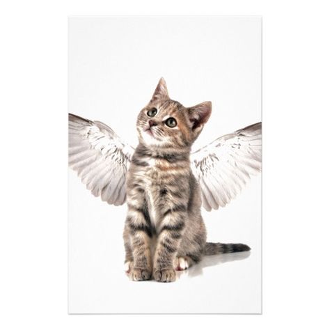 Awwwww kitty Angel stationary so cute! Angel Kitten, Cat With Wings, Gato Angel, Angel Cat, Pet Loss, Cat Drawing, Crazy Cat Lady, Beautiful Cats, Cat Art