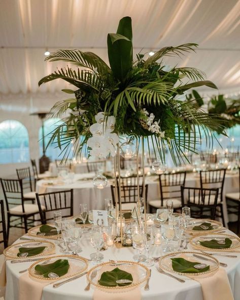 Green Wedding Decorations, Palm Wedding, Green Centerpieces, Destination Wedding Decor, Baby Shower Theme Decorations, Tropical Wedding Flowers, Classic Wedding Decorations, Dream Wedding Decorations, Traditional Wedding Decor