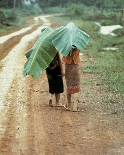 equator on Instagram: “Banana leaves umbrellas, Indonesia” Banana Leaves, Summer Rain, Parts Of A Plant, Community Gardening, Banana Leaf, Tarzan, 그림 그리기, Art Reference, Vision Board