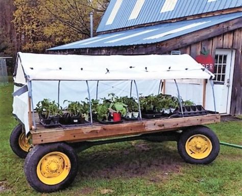 When Dave Capen’s wife Liz said no to the construction of a wooden-framed greenhouse on their property, he decided to build one on wheels. Green House On Wheels, Portable Greenhouse On Wheels, Diy Farm Stand On Wheels, Greenhouse On Wheels, Framed Greenhouse, Garden On Wheels, Mobile Greenhouse, Mobile Gardening, Greenhouse Tables