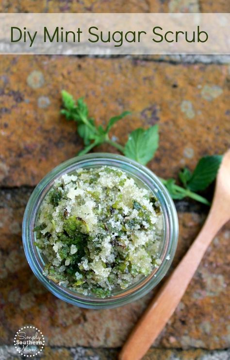 This easy DIY mint sugar scrub has only 3 common pantry ingredients and can be… Mint Body Scrub Diy, Mint Scrub Diy, Mint Candles Diy, Mint Salve Recipe, How To Use Fresh Mint, Dried Mint Uses, What To Do With Fresh Mint, Fresh Mint Uses, Mint Growing