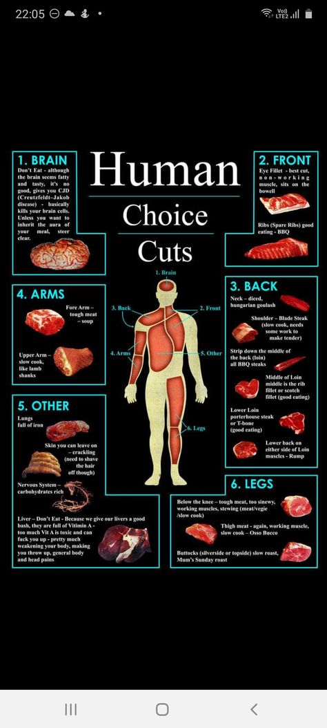 Gut Spill Art Gore, Writing Gore, Gore Core Aesthetics, Lobotomy Aesthetic, Fleshcore Aesthetic, Cannibalcore Aesthetic, Flesh Texture, Stages Of Decay, Human Meat