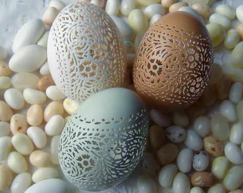 Egg Carving, Blown Eggs, Vines And Flowers, Plant Prints, Carved Eggs, Victorian Lace, Delicate Beauty, Egg Art, Tiny Treasures