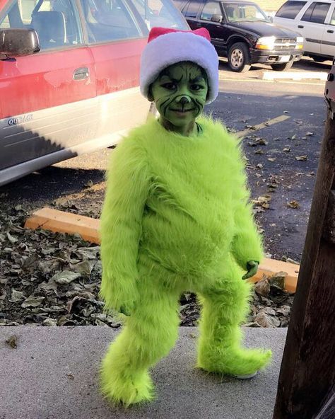 Mr Grinch, Homemade Costume, The Grinch, Grinch, Fur Coat, Halloween