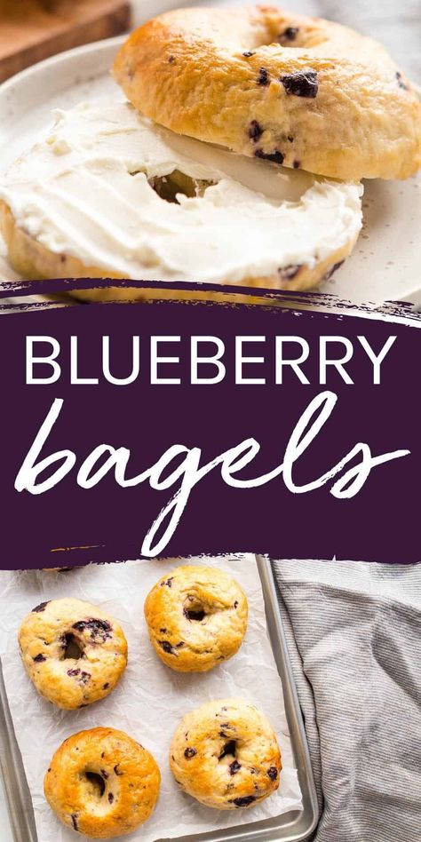 These Homemade Blueberry Bagels are perfectly dense and chewy, they’re SO easy to make with no special equipment or ingredients, no refined sugar, and fresh blueberries! Recipe from thebusybaker.ca! #blueberrybagels #bagel #homemade #bread #easyrecipe #homemadebread via @busybakerblog Easy Blueberry Bagel Recipe, Blueberry Bagels Recipe Homemade, Homemade Blueberry Bagels, Blueberry Bagel Recipe, Bagel Homemade, Blackberries Recipes, Bagels Recipe Homemade, Blueberry Bagels, Bagel Recipes