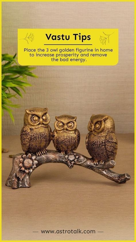 Owl Sitting On Branch, Jyotish Remedy, Owl Sitting, Vastu House, Mantra For Good Health, Tips For Happy Life, Jyotish Astrology, Astrology Remedy, India Home Decor